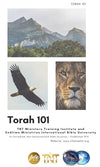 Torah 101